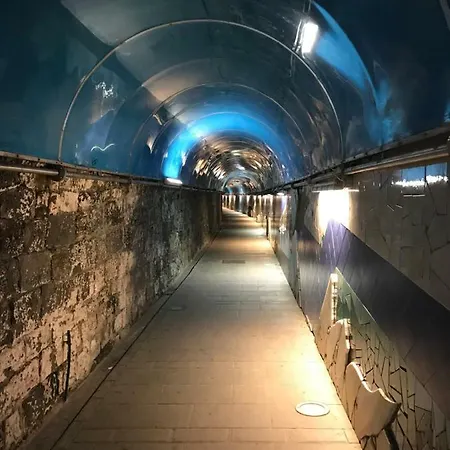 Pensjonat Lucy's Riomaggiore